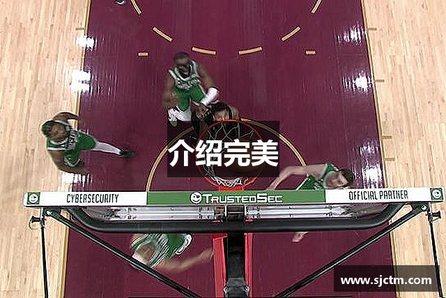 介绍完美